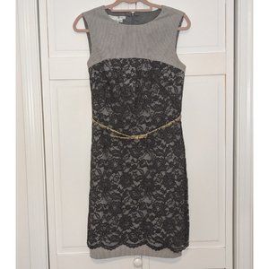 Maggy London Lace Belted Sheath Dress